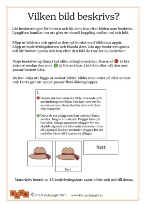 Vilken bild beskrivs?